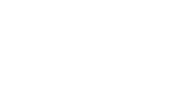 Netvetic
